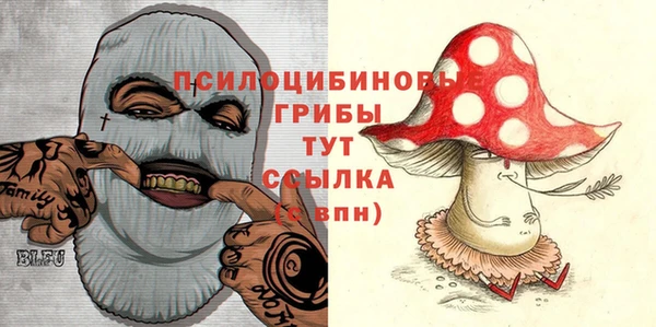 мескалин Верхний Тагил