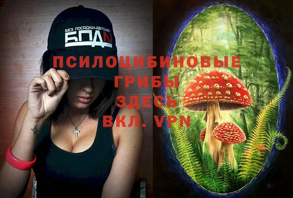 ALPHA PVP Верхнеуральск