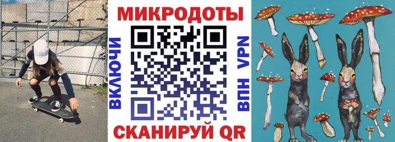 Галлюциногенные грибы Psilocybe  Карачев 